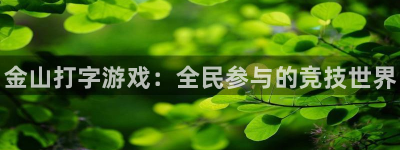 赢咖娱乐平台官网入口：金山打字游戏：全民参与的竞技世界