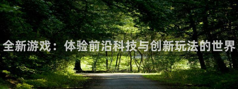 赢咖娱乐Ii：全新游戏：体验前沿科技与创新玩法的世界