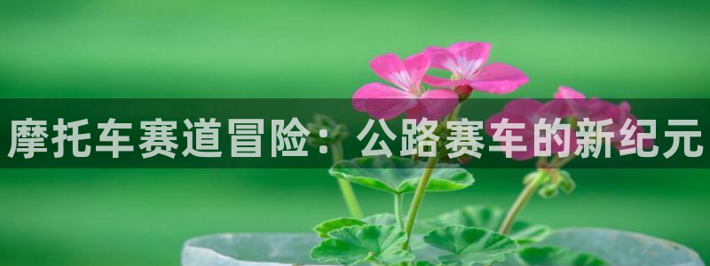 赢咖娱乐网页登录入口下载：摩托车赛道冒险：公路赛车的新纪元