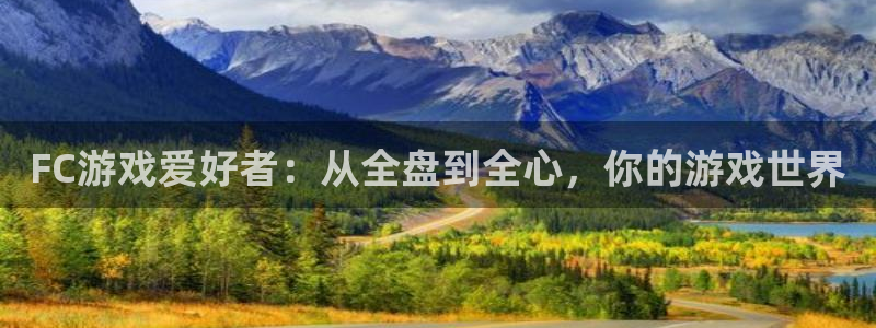 赢咖娱乐注册登录：FC游戏爱好者：从全盘到全心，你的游戏世界