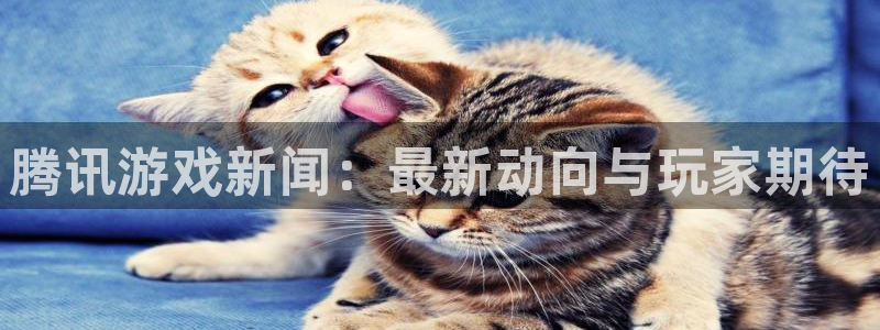 赢咖娱乐平台官方网站：腾讯游戏新闻：最新动向与玩家期待