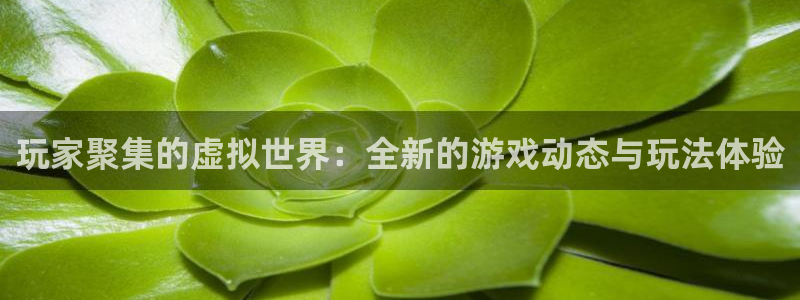 赢咖娱乐手机网页版登录：玩家聚集的虚拟世界：全新的游戏动态与