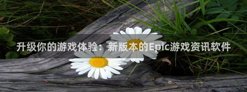 赢咖娱乐登录：升级你的游戏体验：新版本的Epic游戏资讯软件
