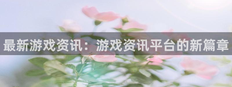 赢咖娱乐什么意思：最新游戏资讯：游戏资讯平台的新篇章