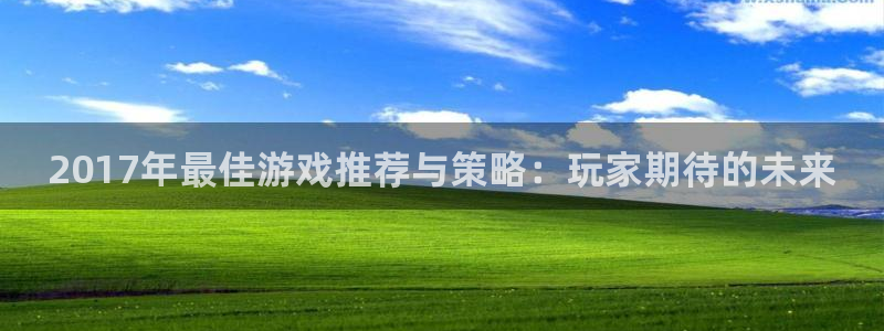 赢咖娱乐主管：2017年最佳游戏推荐与策略：玩家期待的未来