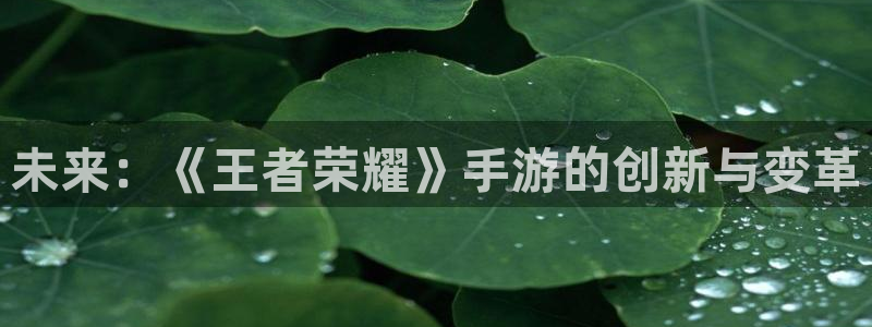 赢咖娱乐登录网址：未来：《王者荣耀》手游的创新与变革