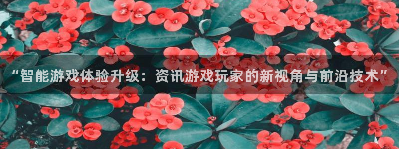 赢咖娱乐娱乐是真的吗：“智能游戏体验升级：资讯游戏玩家的新视