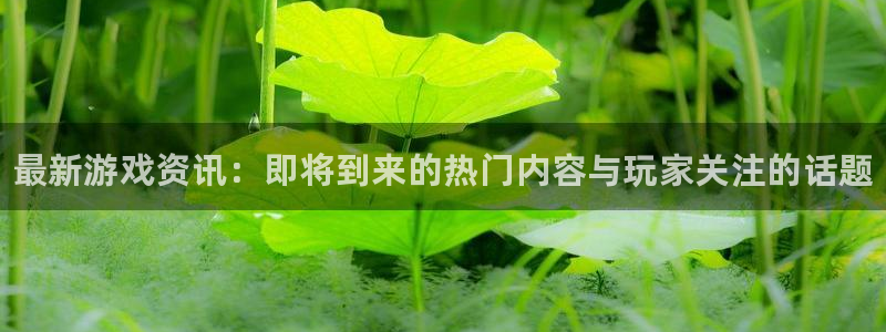 赢咖娱乐平台官网注册：最新游戏资讯：即将到来的热门内容与玩家