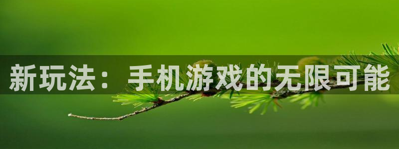 赢咖娱乐登陆：新玩法：手机游戏的无限可能