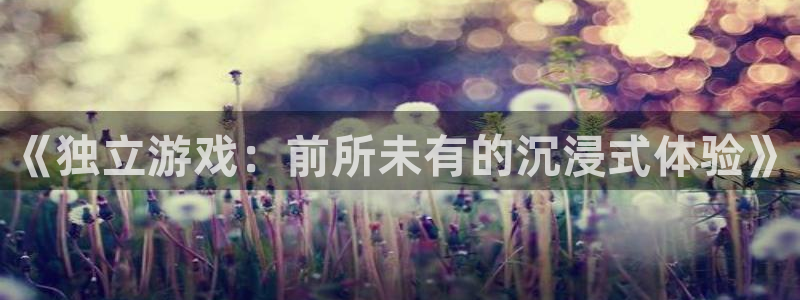 赢咖娱乐测速：《独立游戏：前所未有的沉浸式体验》